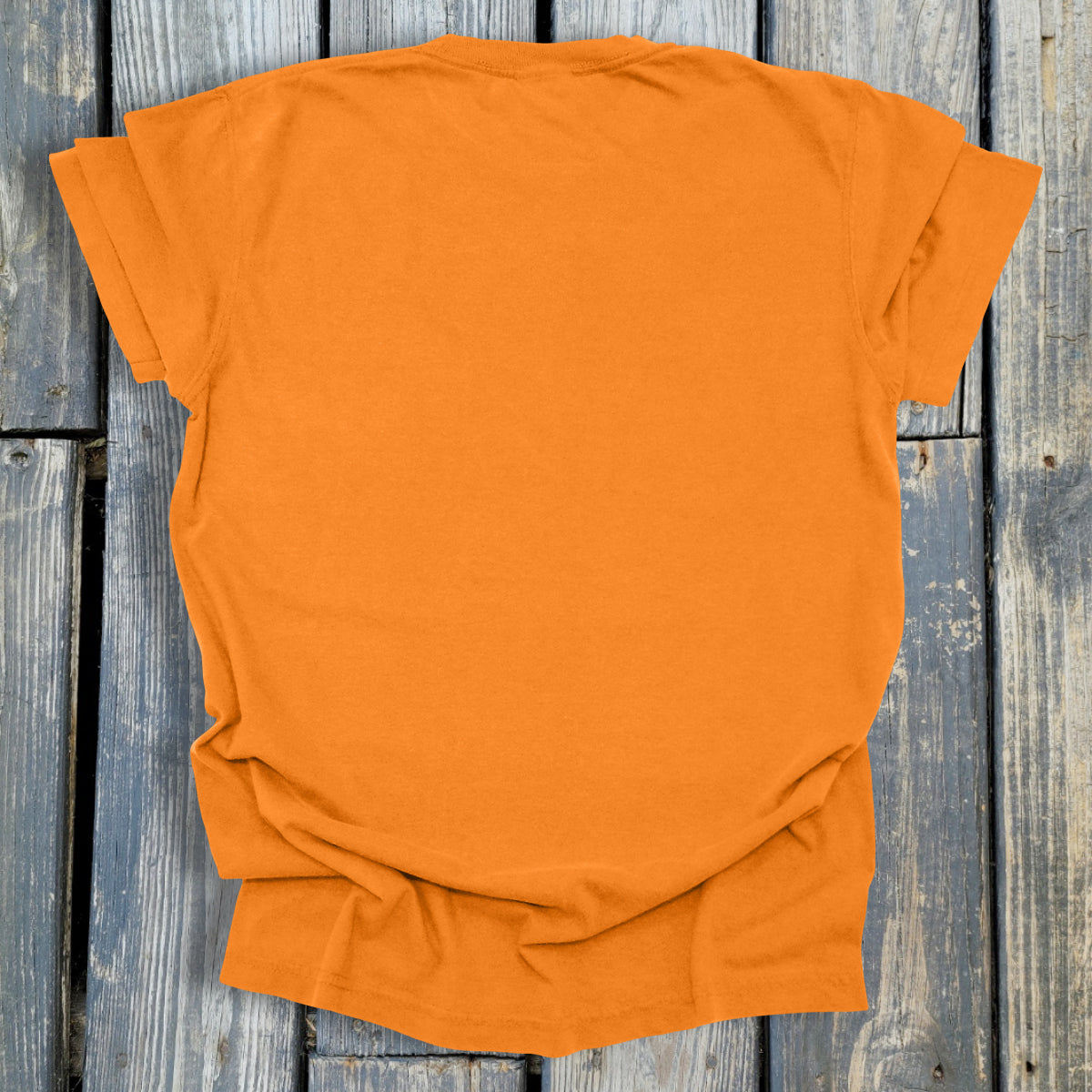 FuzzyBabyBee - COMFORT COLORS Heavyweight Ring Spun Tee. 1717