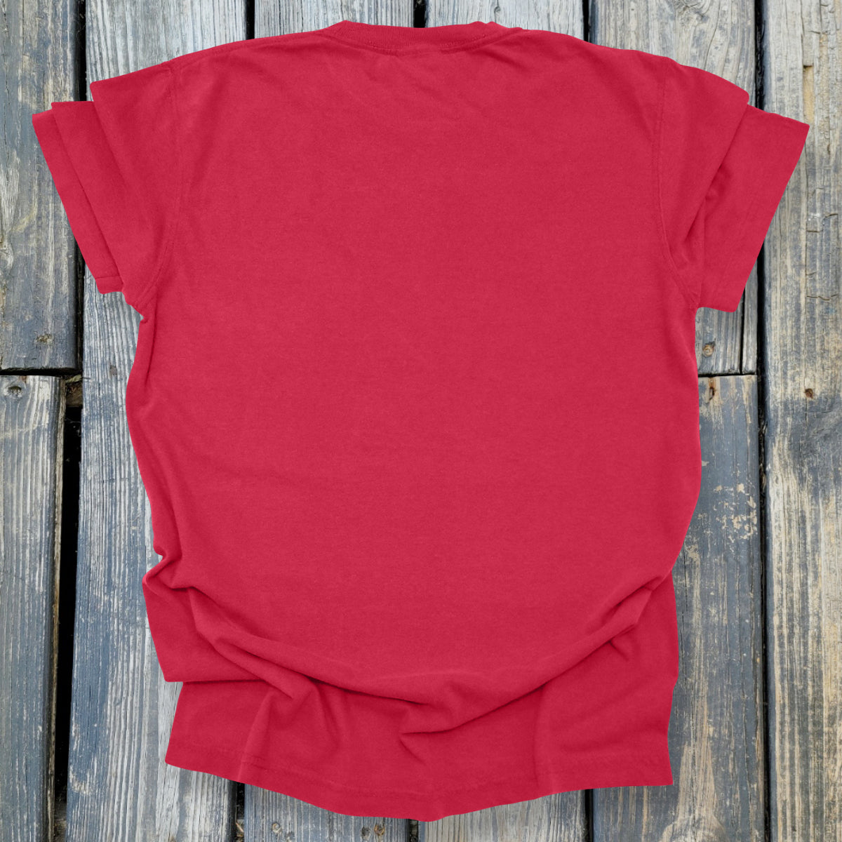 Sink In To The Mud - COMFORT COLORS Heavyweight Ring Spun Tee. 1717