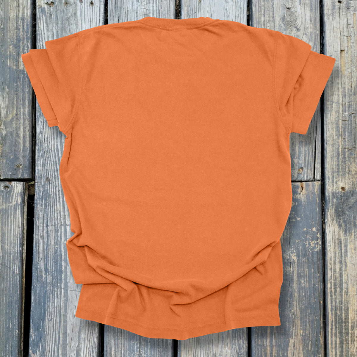 Sink In To The Mud - COMFORT COLORS Heavyweight Ring Spun Tee. 1717