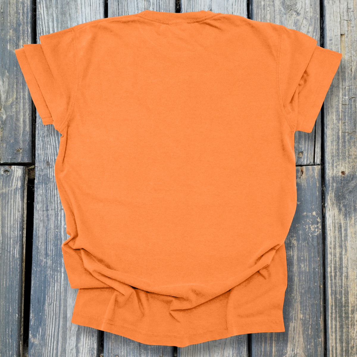 Sink In To The Mud - COMFORT COLORS Heavyweight Ring Spun Tee. 1717