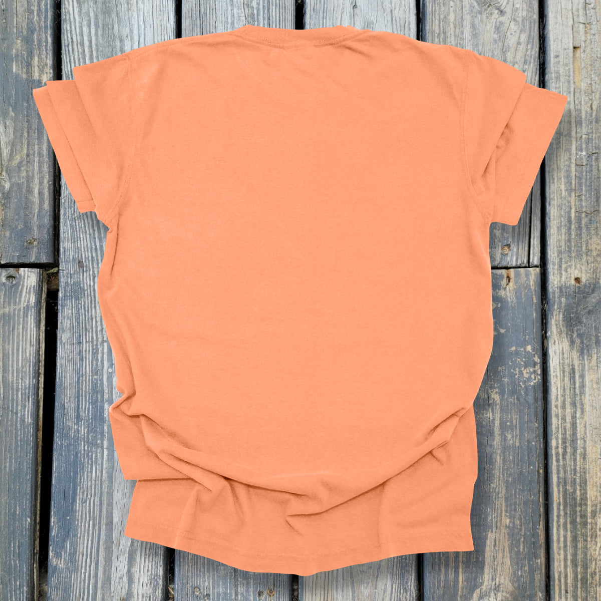 Sink In To The Mud - COMFORT COLORS Heavyweight Ring Spun Tee. 1717