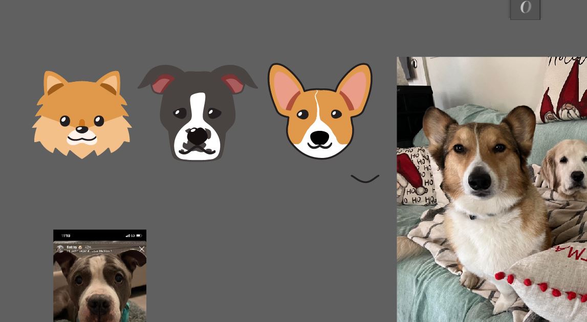 Pet Portrait -  SET UP, DIGITIZING, AND SEW OUT of your first T-Shirt
