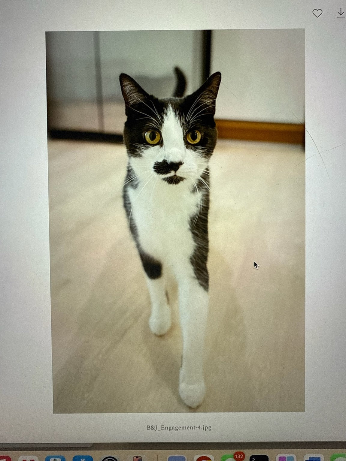 Custom Embroidered Pet Portrait with Name