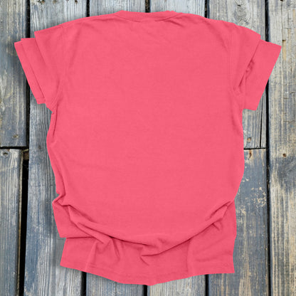 FuzzyBabyBee -  COMFORT COLORS  Heavyweight Ring Spun Tee. 1717