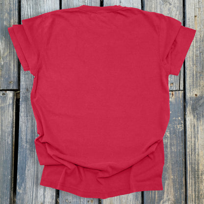 FuzzyBabyBee -  COMFORT COLORS  Heavyweight Ring Spun Tee. 1717