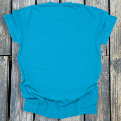 FuzzyBabyBee -  COMFORT COLORS  Heavyweight Ring Spun Tee. 1717