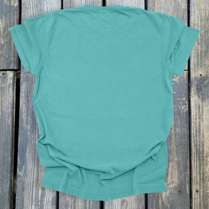 FuzzyBabyBee -  COMFORT COLORS  Heavyweight Ring Spun Tee. 1717