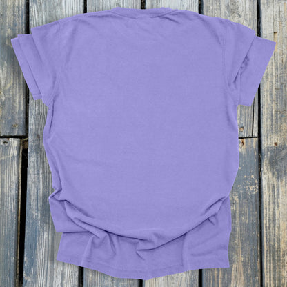 FuzzyBabyBee -  COMFORT COLORS  Heavyweight Ring Spun Tee. 1717