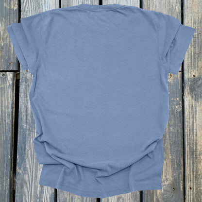 FuzzyBabyBee -  COMFORT COLORS  Heavyweight Ring Spun Tee. 1717