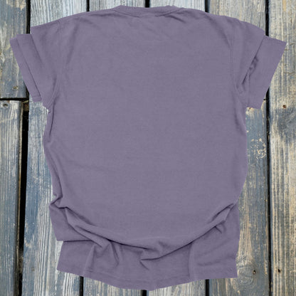 FuzzyBabyBee -  COMFORT COLORS  Heavyweight Ring Spun Tee. 1717