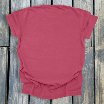 FuzzyBabyBee -  COMFORT COLORS  Heavyweight Ring Spun Tee. 1717