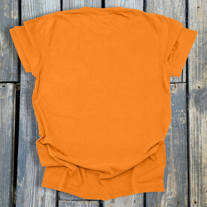 FuzzyBabyBee -  COMFORT COLORS  Heavyweight Ring Spun Tee. 1717