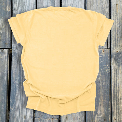 FuzzyBabyBee -  COMFORT COLORS  Heavyweight Ring Spun Tee. 1717