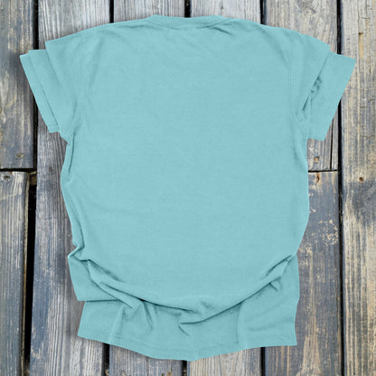 FuzzyBabyBee -  COMFORT COLORS  Heavyweight Ring Spun Tee. 1717