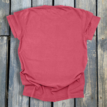 FuzzyBabyBee -  COMFORT COLORS  Heavyweight Ring Spun Tee. 1717