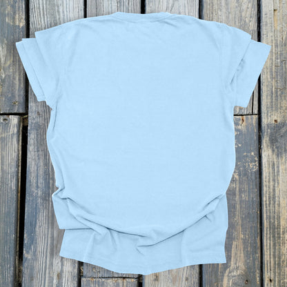 FuzzyBabyBee -  COMFORT COLORS  Heavyweight Ring Spun Tee. 1717