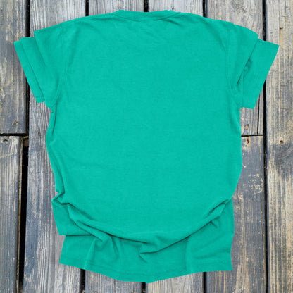 FuzzyBabyBee -  COMFORT COLORS  Heavyweight Ring Spun Tee. 1717