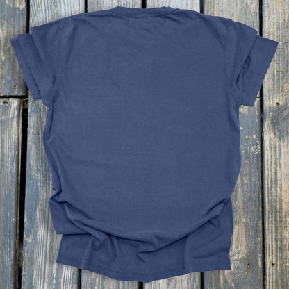 FuzzyBabyBee -  COMFORT COLORS  Heavyweight Ring Spun Tee. 1717