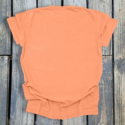 FuzzyBabyBee -  COMFORT COLORS  Heavyweight Ring Spun Tee. 1717