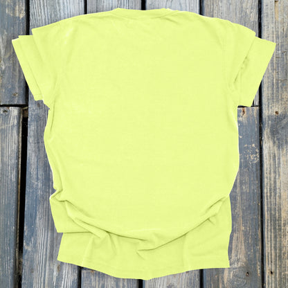 FuzzyBabyBee -  COMFORT COLORS  Heavyweight Ring Spun Tee. 1717