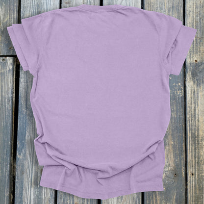 FuzzyBabyBee -  COMFORT COLORS  Heavyweight Ring Spun Tee. 1717