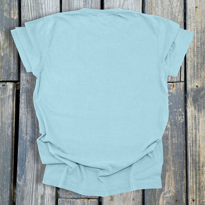 FuzzyBuzzyBee -  COMFORT COLORS  Heavyweight Ring Spun Tee. 1717